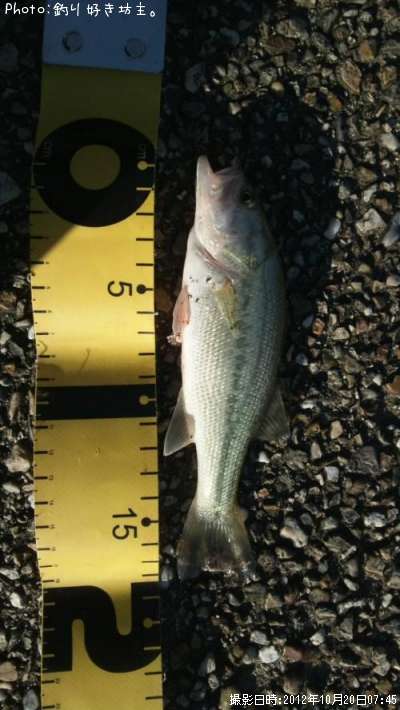 �֥�å��Х�