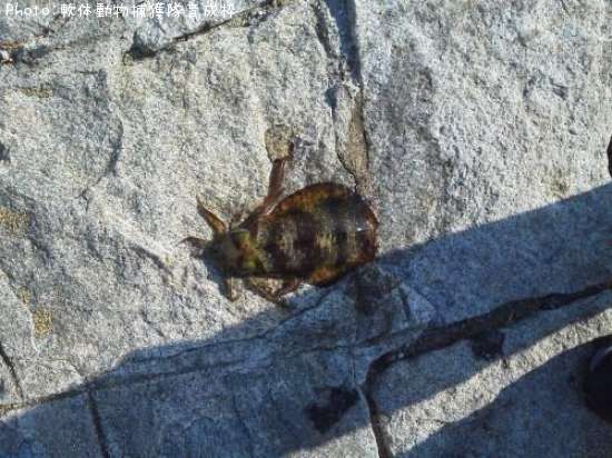 �����ꥤ��