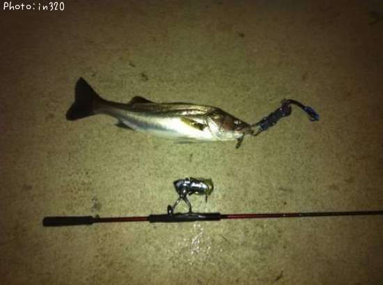 �����Х�