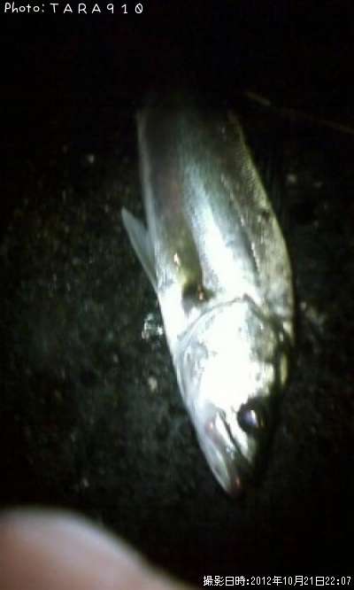 �����Х�