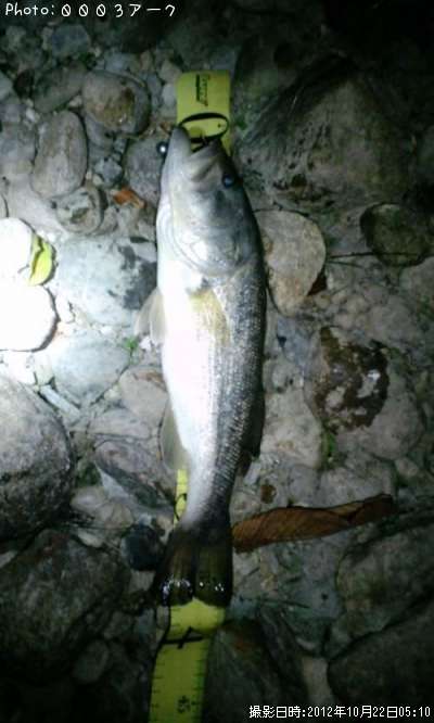 �֥�å��Х�