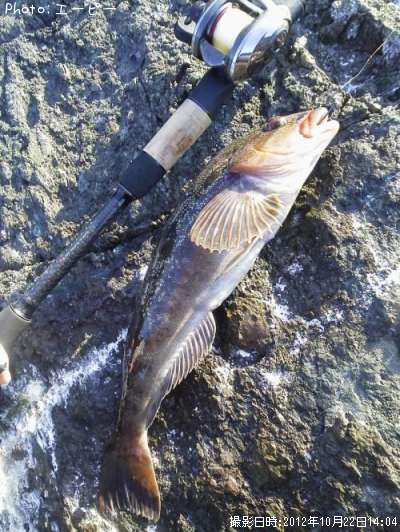 �����ʥ�