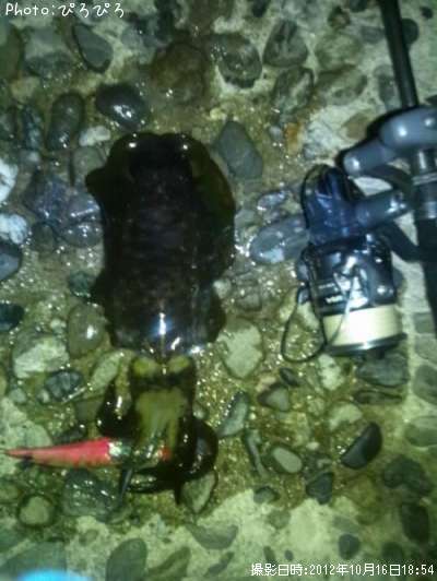 �����ꥤ��