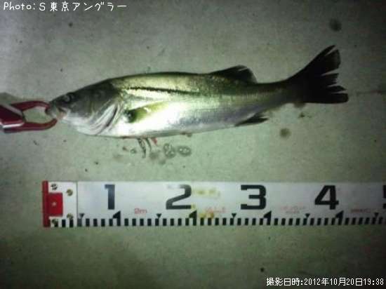 �����Х�