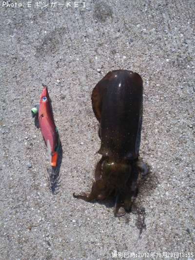 �����ꥤ��