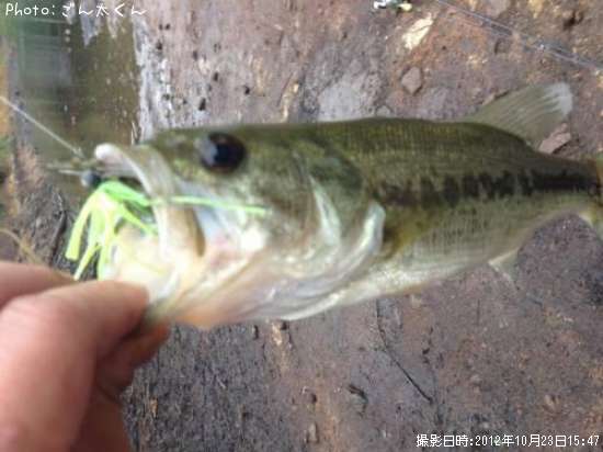 �֥�å��Х�