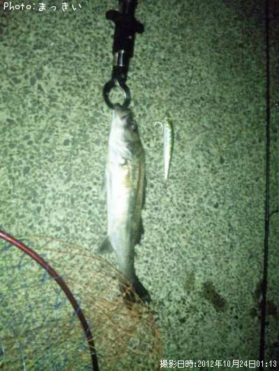 �����Х��ʾС�