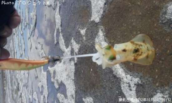 �����ꥤ��