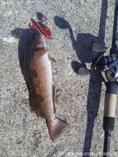 �����ʥ�