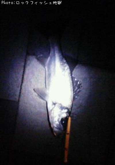 �ҥ饹����