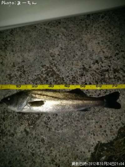 �������Х�