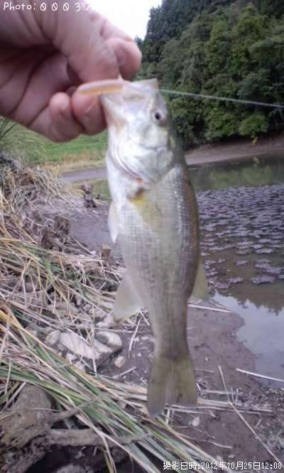 �֥�å��Х�