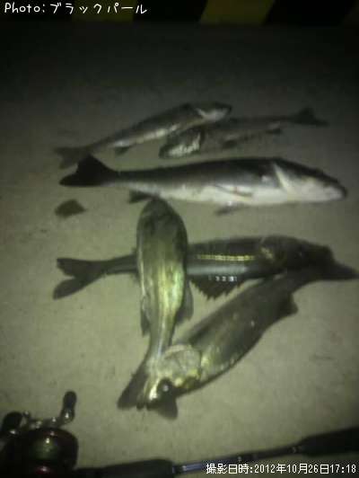 �����Х�