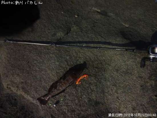 �����ʥ�