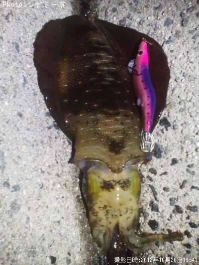 �����ꥤ��