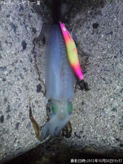 �����ꥤ��