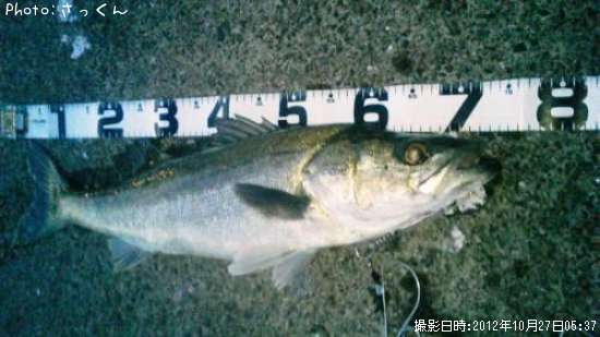 �����Х�