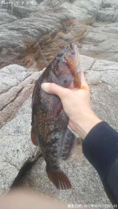 �����ʥ�