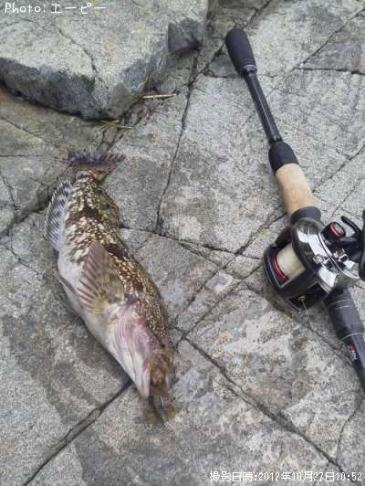 �����ʥ�