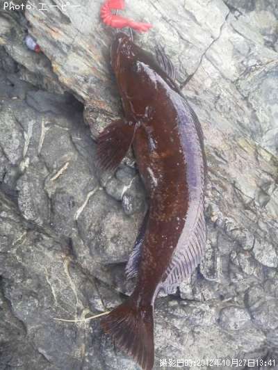 �����ʥ�