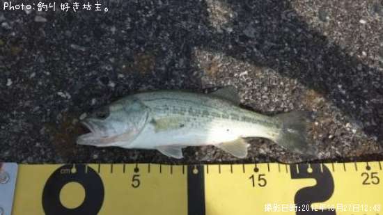 �֥�å��Х�