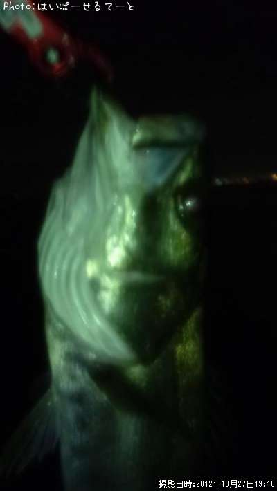 �����Х�