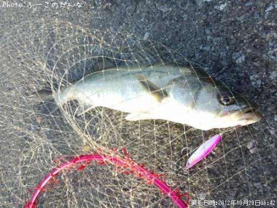 �����Х�