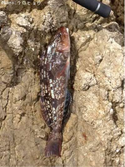 �����ʥ�