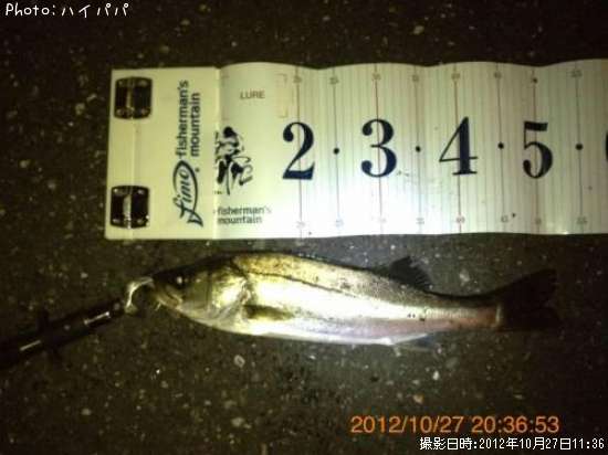 �����Х�