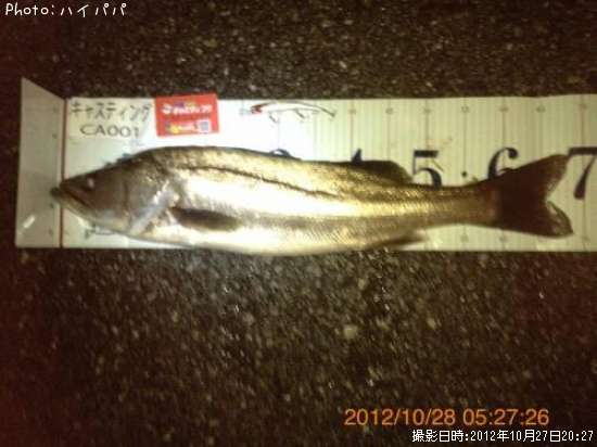 �����Х�