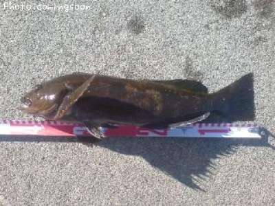 �����ʥ�