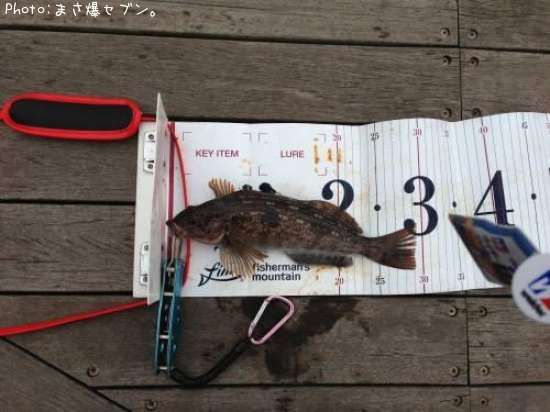 �����ʥ�