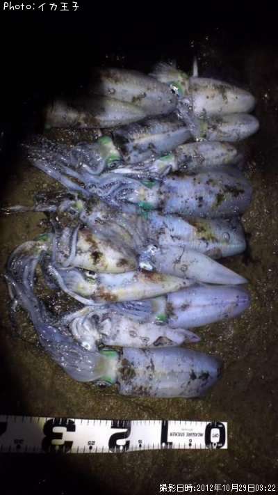 �����ꥤ��
