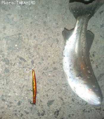 �����Х�