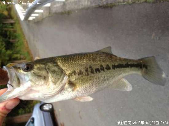 �֥�å��Х�