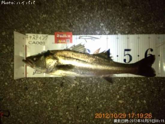 �����Х�