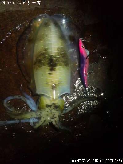 �����ꥤ��