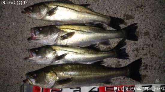 �����Х�