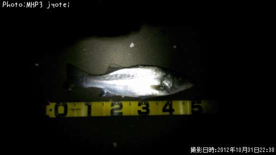 �����Х�