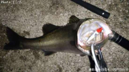 �����Х�