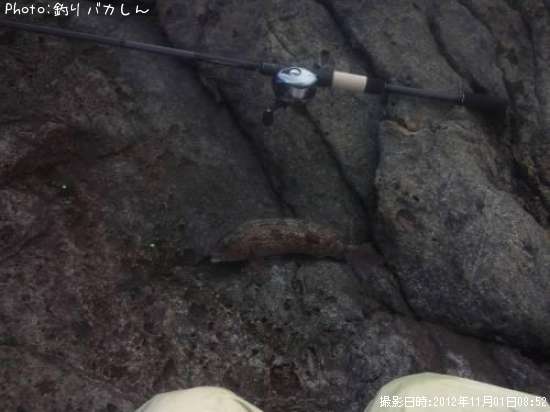 �����ʥ�