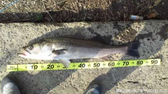 �����Х�