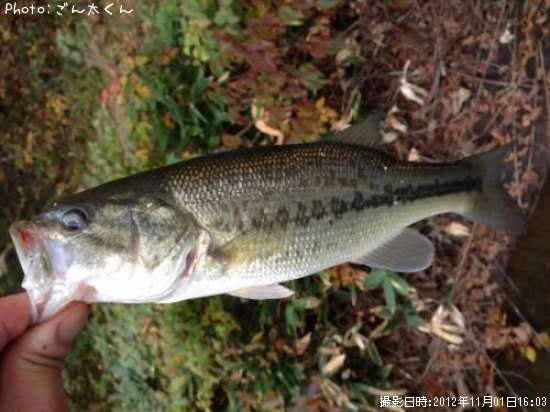 �֥�å��Х�