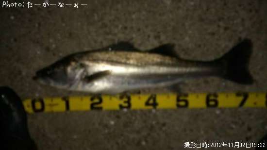 �����Х�