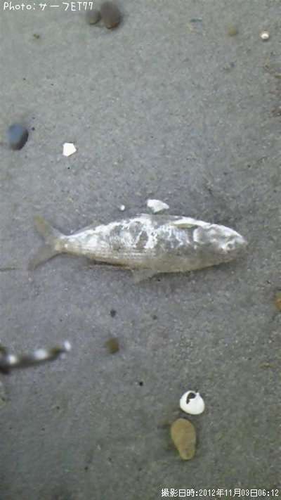 ���Υ���