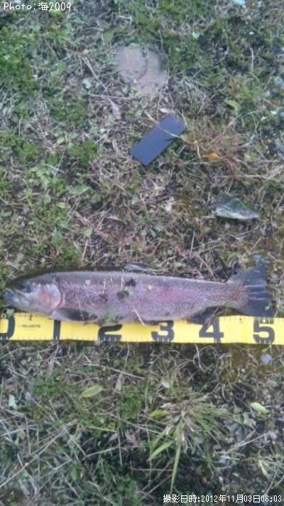 �쥤��ܡ��ȥ饦��