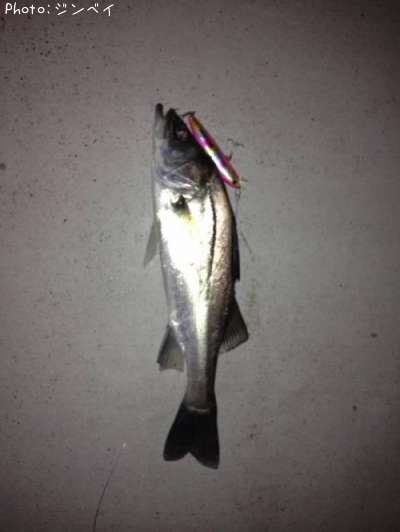 �����Х�