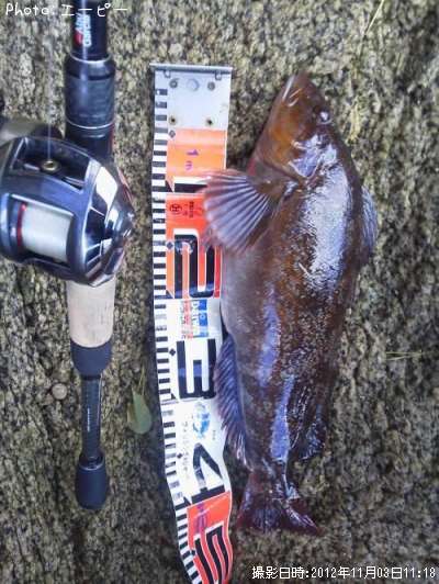 �����ʥ�