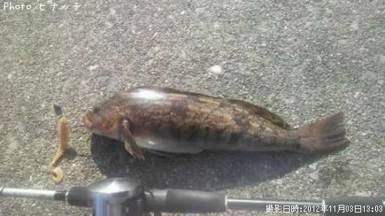 �����ʥ�