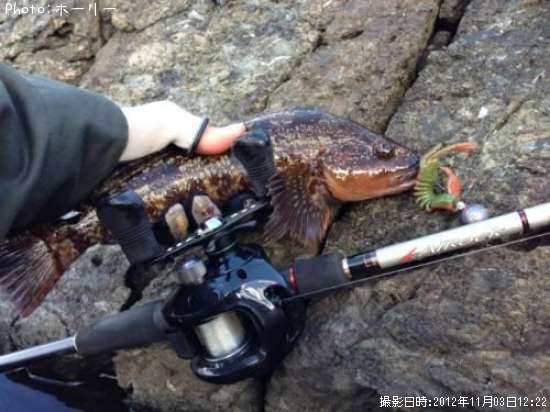 �����ʥ�